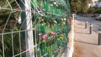 Vertical plastic bottle garden on a school wall